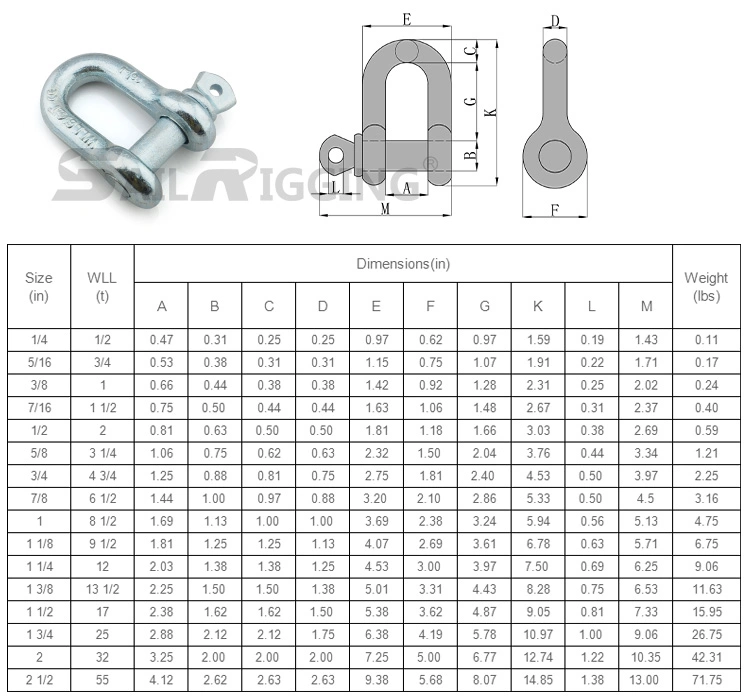 Wholesale Hardware Rigging Electric Galvanized U Shaped Shackle Us Type Steel Drop Forged Screw Pin D Anchor Shackle