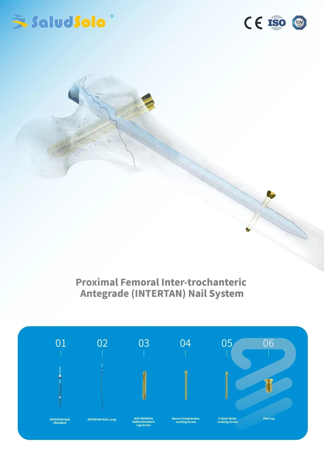 Orthopedic Surgical Implant for Trauma Surgery, Standard Proximal Femoral Intertrochanteric Antegrade Nails, Intertan Intramedullary Nail System
