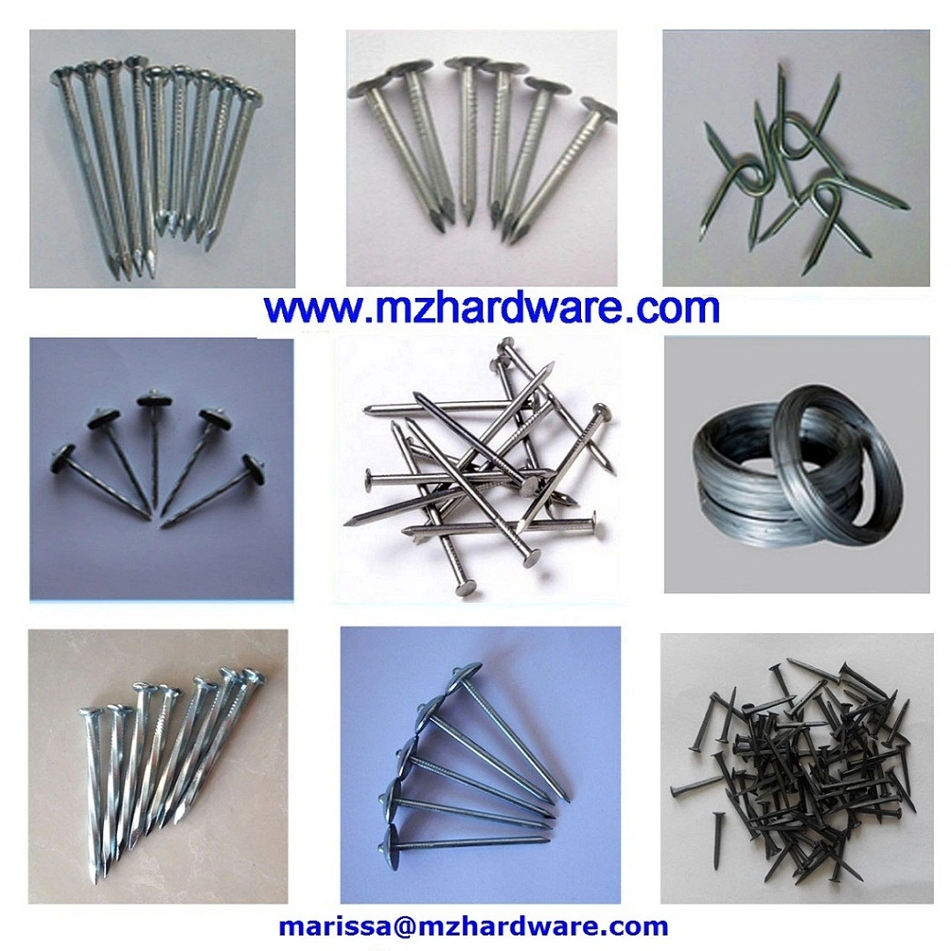 2-1/2&quot; Galvanized Umbrella Head Roofing Nail with Rubber Washer
