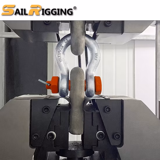 Wholesale Hardware Rigging Electric Galvanized U Shaped Shackle Us Type Steel Drop Forged Screw Pin D Anchor Shackle